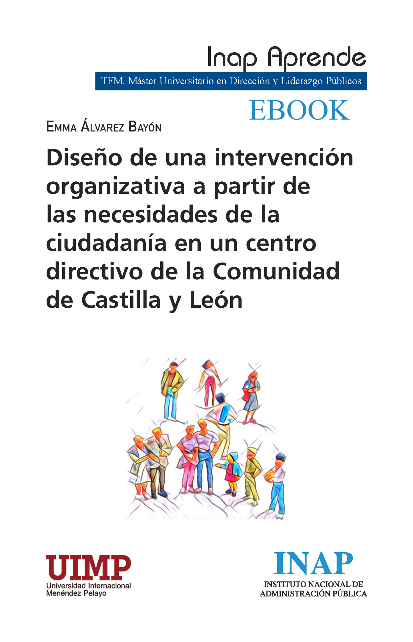 DISEÑO DE UNA INTERVENCIÓN ORGANIZATIVA A PARTIR DE LAS NECESIDADES DE LA CIUDADANÍA EN UN CENTRO DIRECTIVO DE LA COMUNIDAD DE CASTILLA Y LEÓN EBOOK
